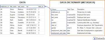 If someone types something and another person sends a message saying ^^ or ^ it means that they agree with what was said before. What Is Data Dictionary Data Terminology