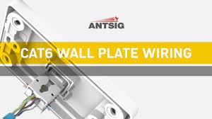 Grey back cover snaps easily in place and secures the cable once dressed in place. Antsig How To Wire A Cat6 Wall Plate Youtube