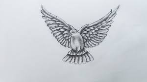 how to sketch pigeon youtube how to sketch pigeon