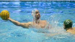 Ahead, we will also know about norbert hosnyanszky dating, affairs, marriage, birthday, body measurements, wiki. Hosnyanszky Norbert Blikk