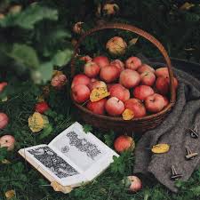 Celestialdelights Fall Time Fun Cottage In The Woods Apple Tree