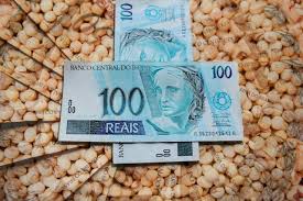 Antes de repetir como foca que el dolar esta así por culpa de dolartoday, al menos estudia conceptos basicos de economía. Soja Com Dolar E Chicago Em Queda Precos Recuam No Brasil