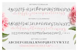 38 for operating systems : Betterfly 2 Dynamic Font Duo By Blessed Print Thehungryjpeg Com