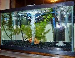 Aksesoris Akuarium Kecil Aksesoris Aquarium Batu Hias Murah Alat Alat Aquarium Dan Fungsinya Apa Saja Perlengkapan Aquarium Harga Per Aquarium Desain Air Tawar