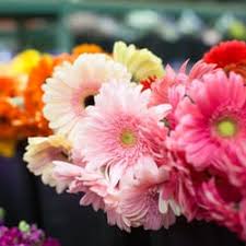 Save money by sending flowers directly with a local florist. Florists In Chandler Yelp