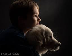 58 Trendy Dogs Photography Studio Animals Dog Photography Studio Dog Portrait Photography Dog Photography
