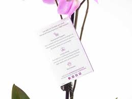 We use highly efficient growing techniques, water conservation and a sustainable heat source to ensure that our plants are grown in an fashion. Just Add Ice Tags Amthekel