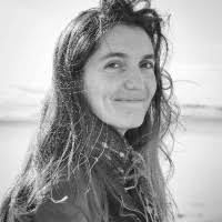 100+ profiler som matchar ”Vincent”