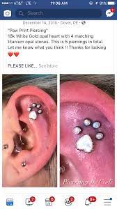 Pin By Jen Yoder On Piercings Piercings
