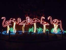Light The Night Flamingo Lights Flamingo Decor Fancy Flamingo