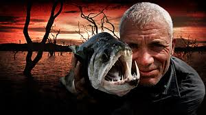 Are you a programmer who has an interest in creating an application, but you have no idea where to begin? Watch River Monsters Prime Video