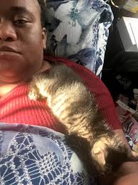 Lost doberman in Iowa needs to be found