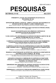 Image result for Buchnera pusilliflora