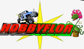 Hobbyflor