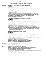 Commercial Business Analyst Resume Samples Velvet Jobs
