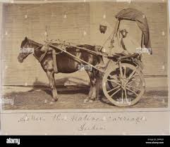 Horse carriage india hi-res stock ...