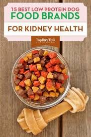 The Best Low Protein Dog Foods For Kidney Liver Health Low Protein Dog Food Dog Food Recipes Make Dog Food