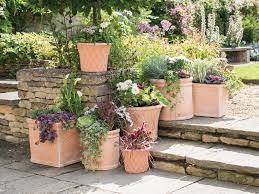 Then visit our online store. Woodlodge Plant Pots St Albans Aylett Nurseries