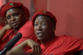 Julius malema, popularly nicknamed as juju is a well known south african politician. Malema To Sue Former Eff Mp Who Called Him And Shivambu Bloody Crooks For R1m The Citizen