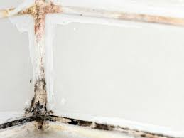 I finished it on wednesday it takes fourteen hours to fly from seoul to new york. How To Remove Black Mold Hgtv