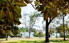 Royal Botanic Garden And The Domain Royal Botanic Gardens Sydney Botanical Gardens Austrailia