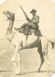 Troops at military outposts in eastern syria asked variations of the same question to their top in an unannounced tour of five military bases in syria stretching from the northeastern part of the country to the middle euphrates river valley, mckenzie. 87 Military Camels Elephants Reindeer Ideas Camels History War
