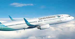 Hasil gambar untuk garuda indonesia