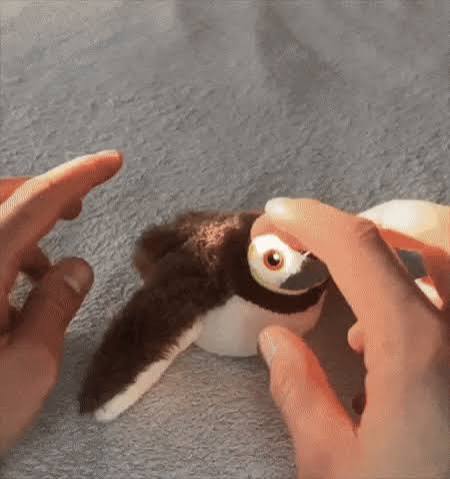 FlappyBird | Pájaro volador de juguete para gatos – Domus-es.com