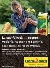 Il negozio di piante e giardinaggio, passione piante, si trova a per cactus e piante grasse, tuttavia, non è opportuno usare fertilizzanti generici. Coltivazione Giardini
