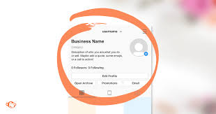 You can use some favorite phrases or words from your favorite books, movies, and songs to name your team. Instagram Bio Ideas Your Ticket To Compelling Bios Picmonkey