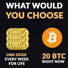 5th planet games ( 5pg) news: Hupvwtv Ev3mkm