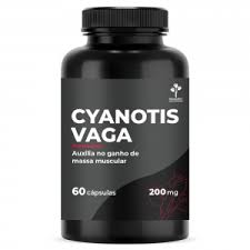 Image result for Cyanotis vaga