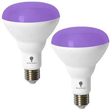 2 Pack Uv Led Black Light Bulbs 13w Br30 E26 Black Light Bulb For Glow In