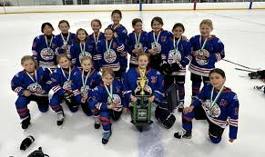 2021-2022 > U11 > News > 1St League Games (Greater Kingston Aaa Hockey)” style=”width: 100%; height: auto; title=”2021-2022 > U11 > News > 1St League Games (Greater Kingston Aaa Hockey)”><figcaption style=