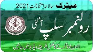 Students can access their haryana board 10th result 2021 by entering their roll numbers and date of birth. Roll Number Slips For Matric Annual Exam 2021 Bise Kohat Board Download Ssc Roll Number Slips Youtube