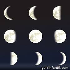 We did not find results for: Las Fases De La Luna Poemas Didacticas Infantiles