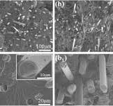 Performance of glass fiber reinforced polyamide composites ...
