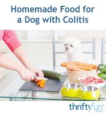 Many dogs with ibd respond well to therapy in the form of dietary changes. Pin On Pets