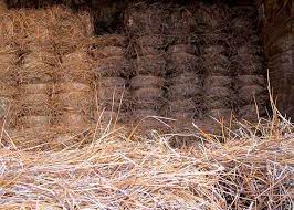 Get a pine straw quote! North Carolina Long Leaf Pine Needles By The Bale Stratford Landscape Supply Your Local Garden Center And Nursery