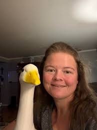 Has anyone came across free sewing patterns for a goose?