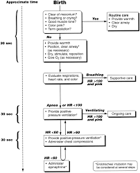 Part 11 Neonatal Resuscitation Circulation