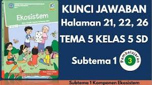 Kunci jawaban tematik tema 1 kelas 5 subtema 1 pembelajaran 4. Kunci Jawaban Tema 5 Kelas 5 Halaman 21 22 26 Subtema 1 Pembelajaran 3 Youtube