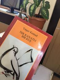 Tek Kanatli Bir Kus Yasar Kemal Kitap Kus Fotografcilik