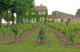 Suivez l'évolution de l'épidémie de coronavirus / covid19 dans le monde. Saint Emilion Aoc Wikipedia