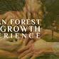 Human Forest: Old Growth | A Gift of Deeper event image