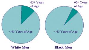Age Adjusted Rates Statistics Teaching Tools New York
