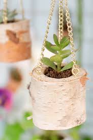 Diy Hangende Pflanztopfe Aus Birkenstamm Ard Buffet Mein Feenstaub Pflanzen Fur Zu Hause Birkenstamm Kreativ