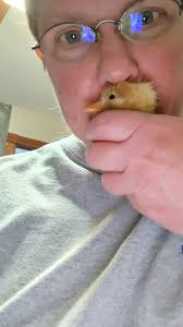 Halo game fun experiences and memories