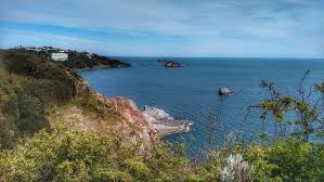 Check spelling or type a new query. The Ultimate Guide To Stand Up Paddleboarding In Torbay Gone Paddleboarding