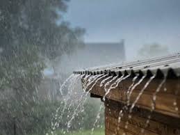 Chuva ácida e seus impactos no meio ambiente e nas cidades